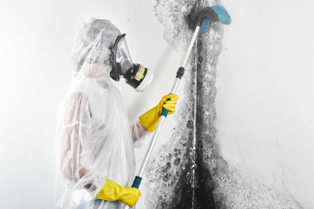 Best Mold-Related Health Consultation  in Marriott Slaterville, UT