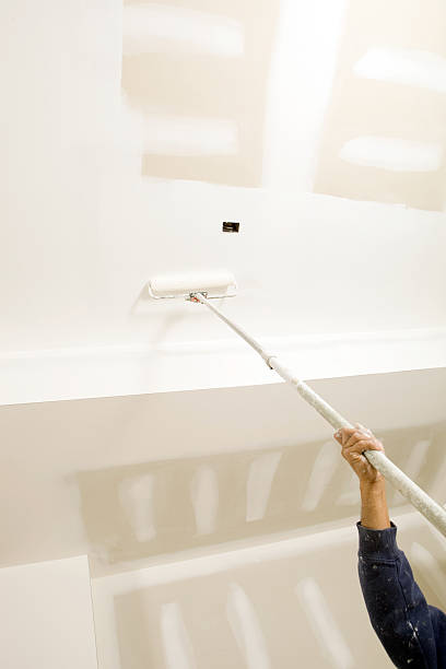 Best Mold Damage Restoration  in Marriott Slaterville, UT