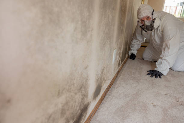 Best Air Quality Testing for Mold Spores  in Marriott Slaterville, UT